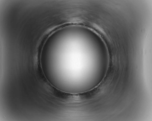 X0000088921315200706081352
