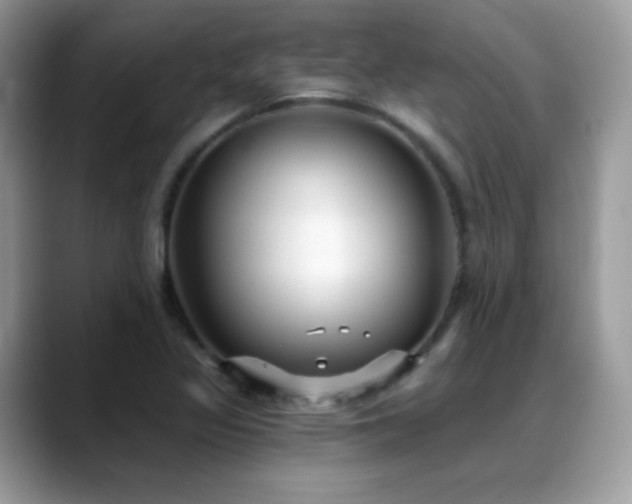 X0000088921317200706081352