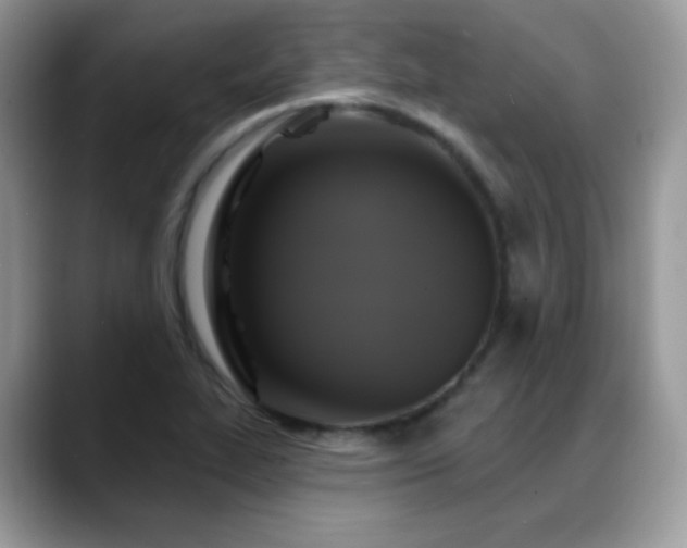 X0000088921319200706081352