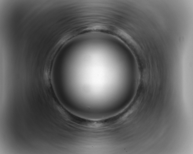 X0000088921321200706081352