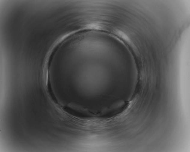 X0000088921323200706081352