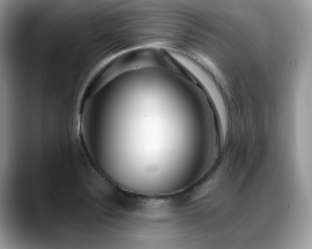 X0000088921324200706081352