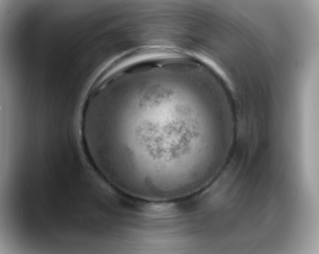 X0000088921325200706081352