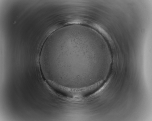 X0000088921329200706081352