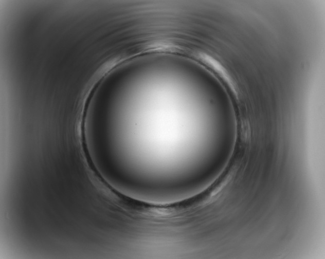 X0000088921330200706081352