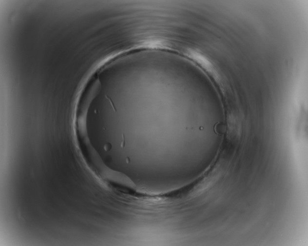 X0000088921331200706081352