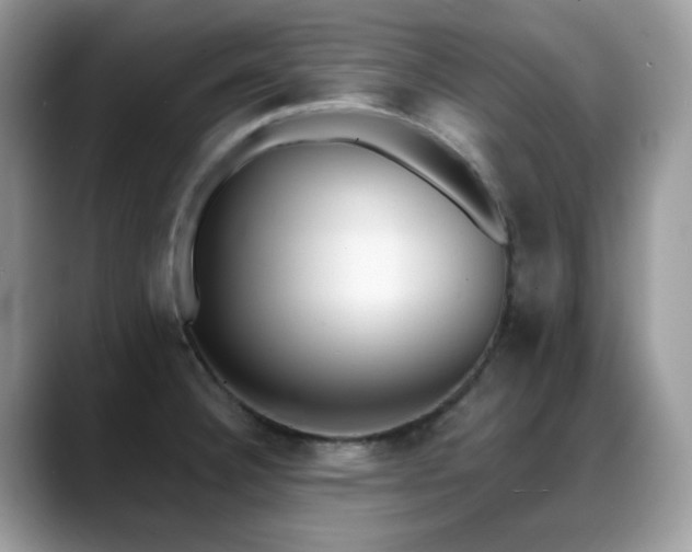 X0000088921332200706081352