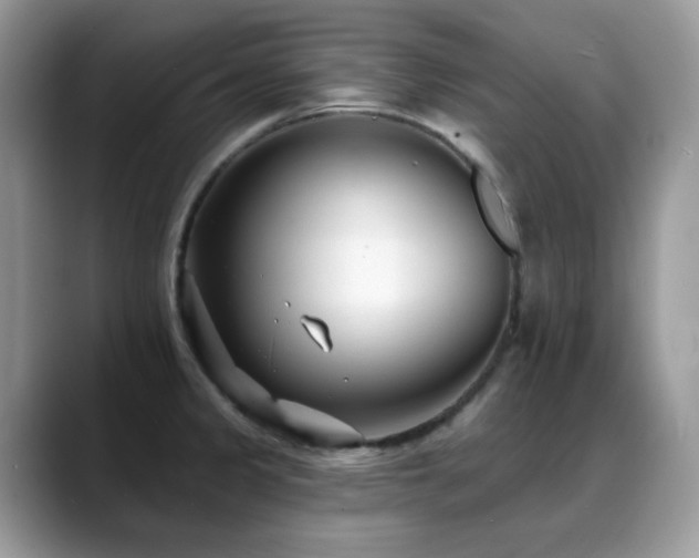 X0000088921333200706081352