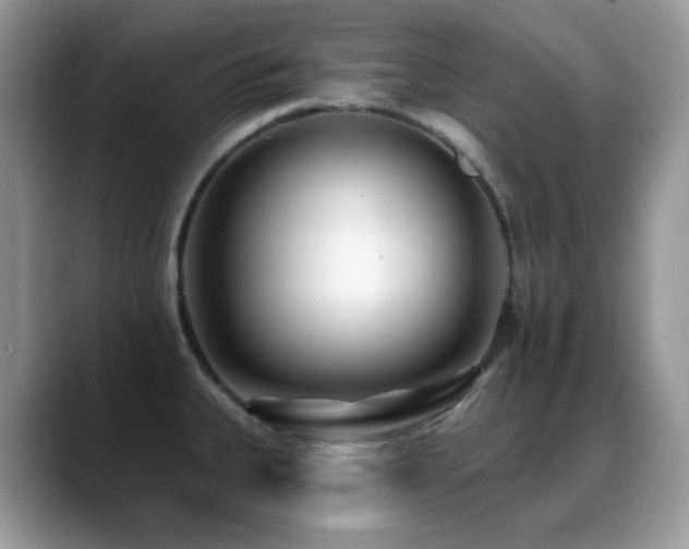 X0000088921335200706081352