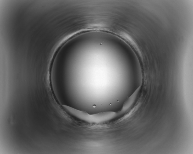 X0000088921336200706081352