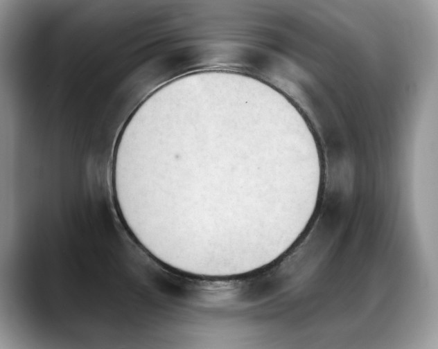 X0000088921338200706081352