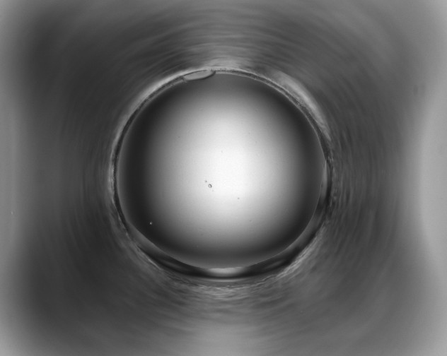 X0000088921340200706081352