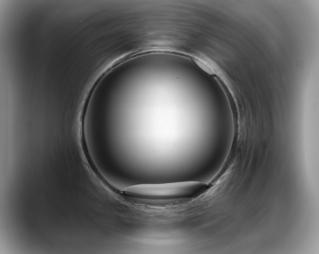 X0000088921341200706081352