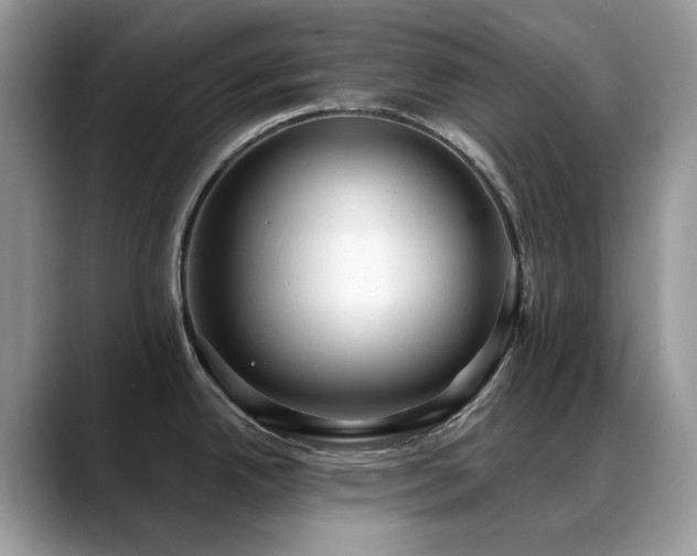 X0000088921342200706081352