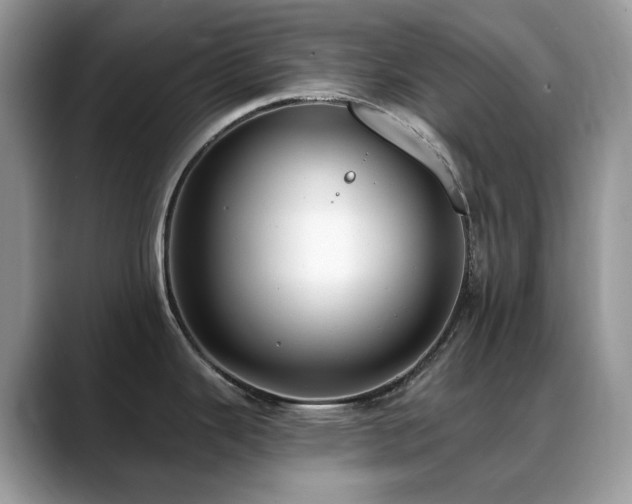 X0000088921343200706081352