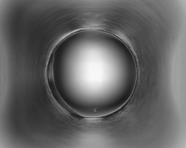 X0000088921344200706081352