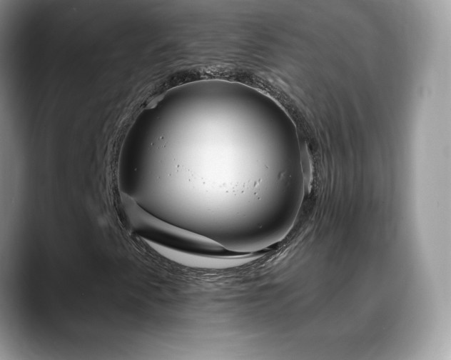 X0000088921345200706081352