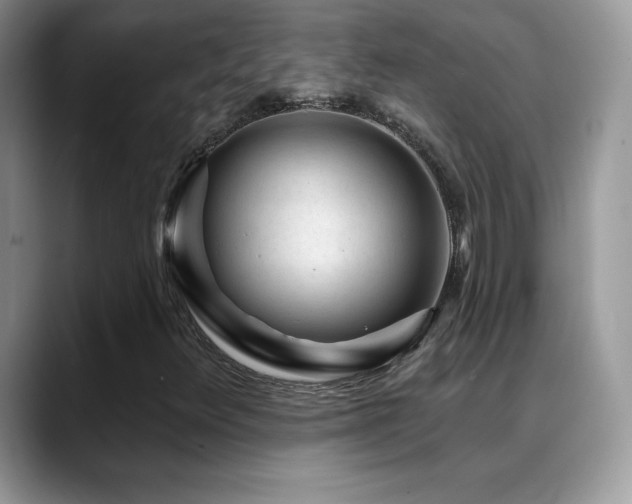 X0000088921348200706081352