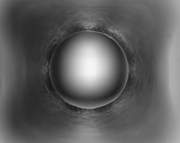 X0000088921349200706081352