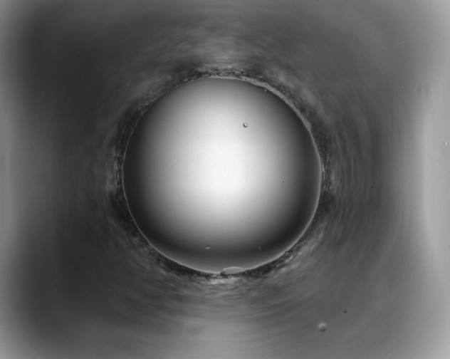 X0000088921350200706081352