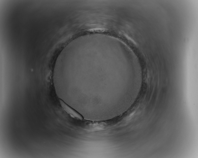 X0000088921351200706081352