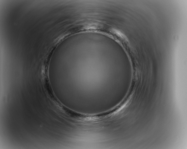X0000088921353200706081352