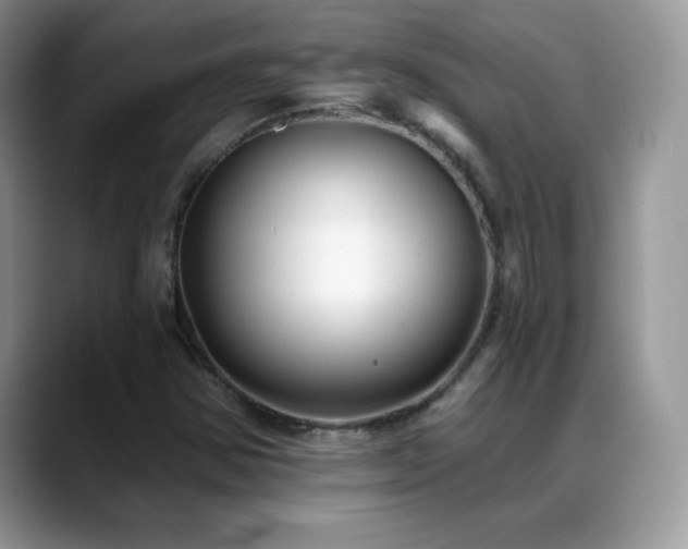 X0000088921354200706081352