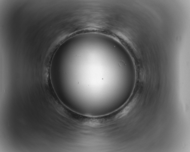 X0000088921355200706081352
