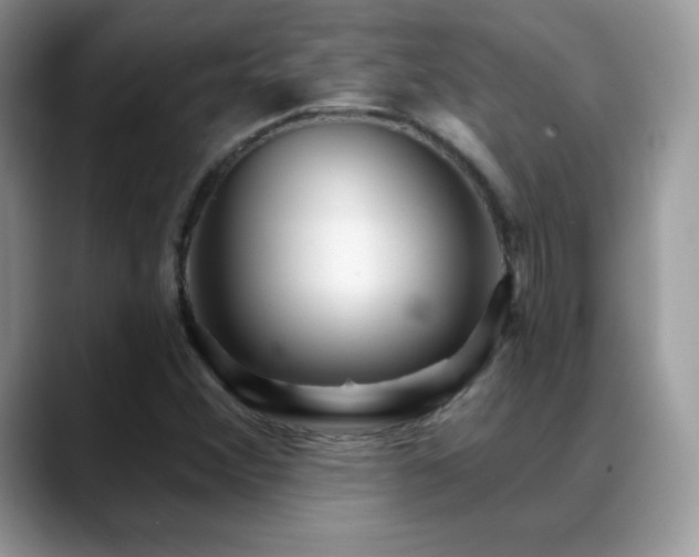 X0000088921356200706081352