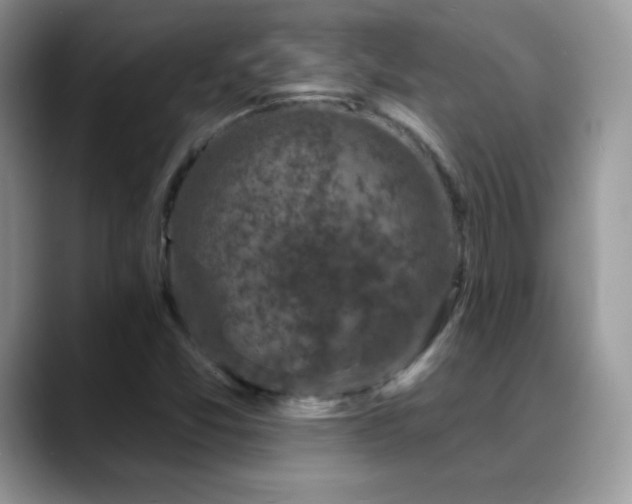 X0000088921357200706081352
