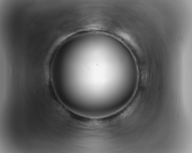 X0000088921358200706081352