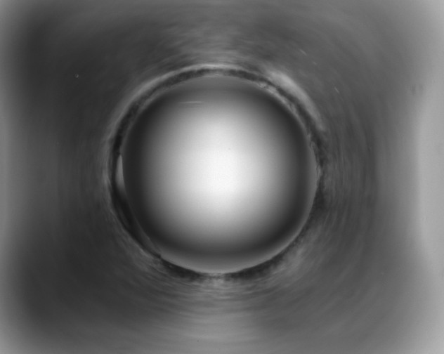 X0000088921360200706081352