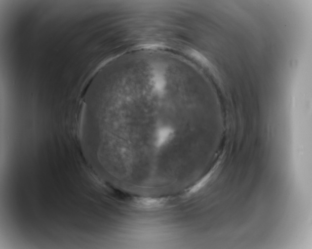 X0000088921361200706081352