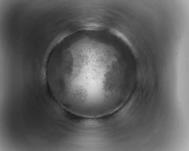 X0000088921362200706081352