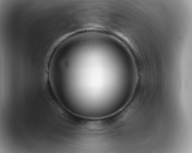 X0000088921363200706081352