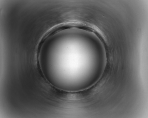 X0000088921364200706081352