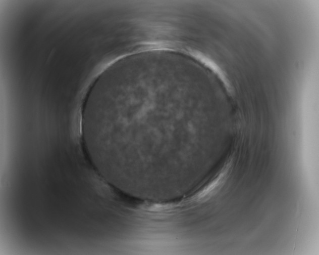 X0000088921365200706081352
