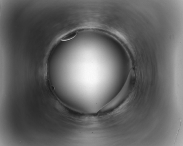 X0000088921366200706081352