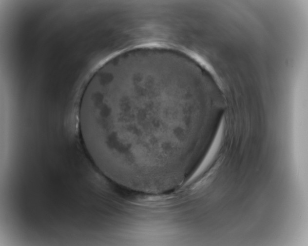 X0000088921367200706081352