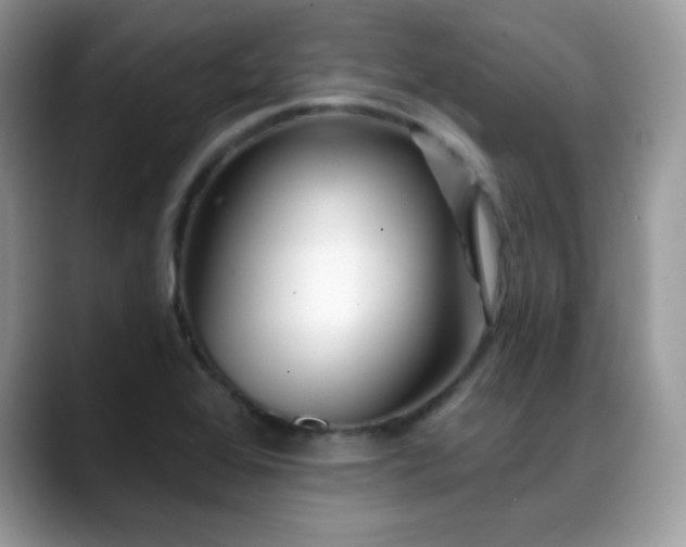 X0000088921368200706081352