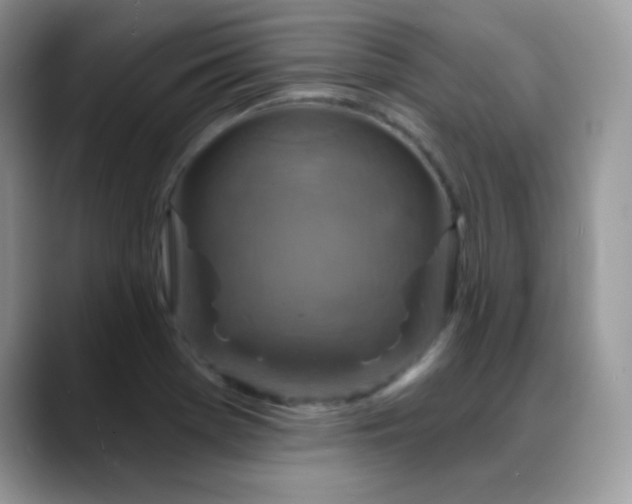 X0000088921369200706081352