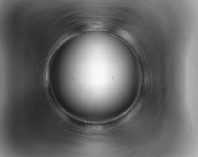 X0000088921370200706081352