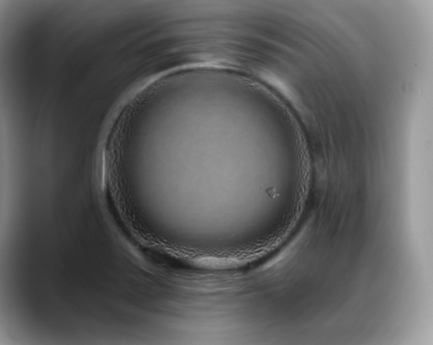 X0000088921371200706081352