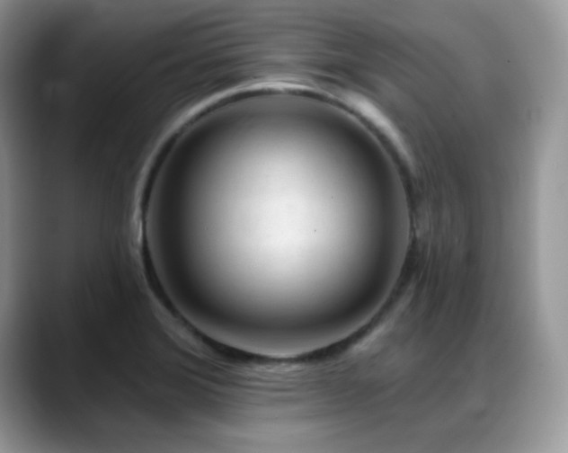 X0000088921372200706081352