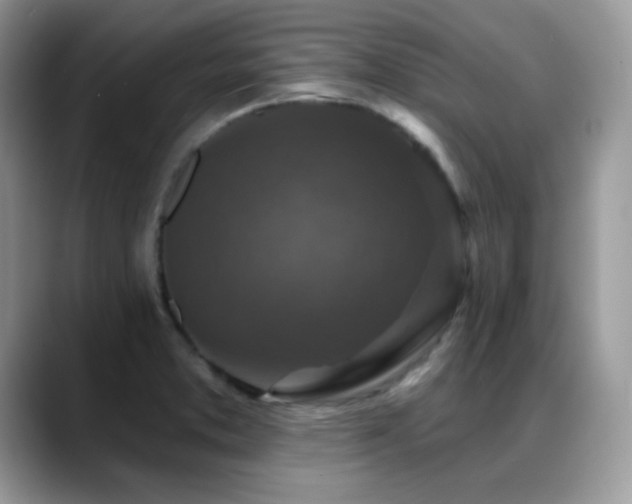 X0000088921373200706081352