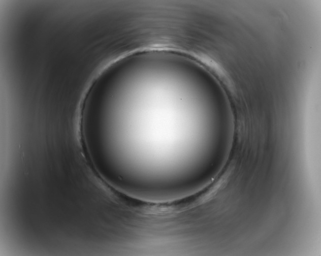 X0000088921374200706081352