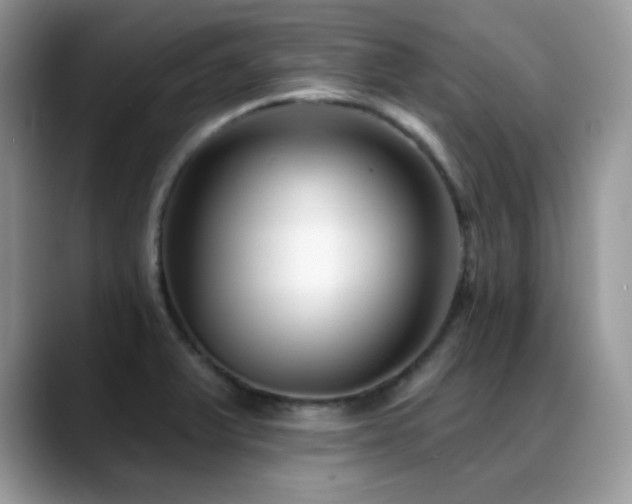 X0000088921375200706081352