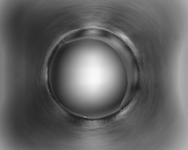 X0000088921376200706081351