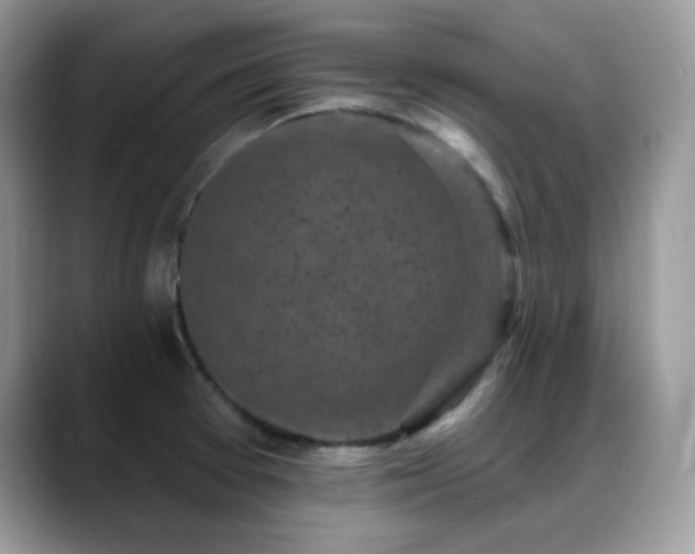 X0000088921377200706081351