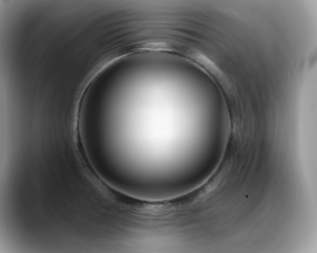 X0000088921378200706081351